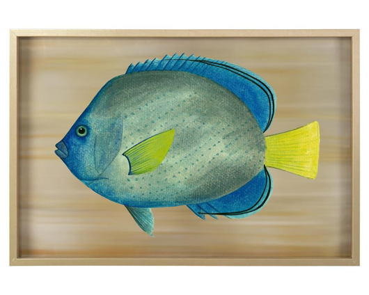 Picture of AZURE FISH IV