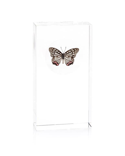 Picture of BLACK, WHITE, AND PINK BUTTERFLY ENCASED IN CRYSTAL