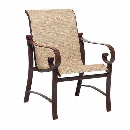 Picture of BELDEN SLING DINING ARMCHAIR