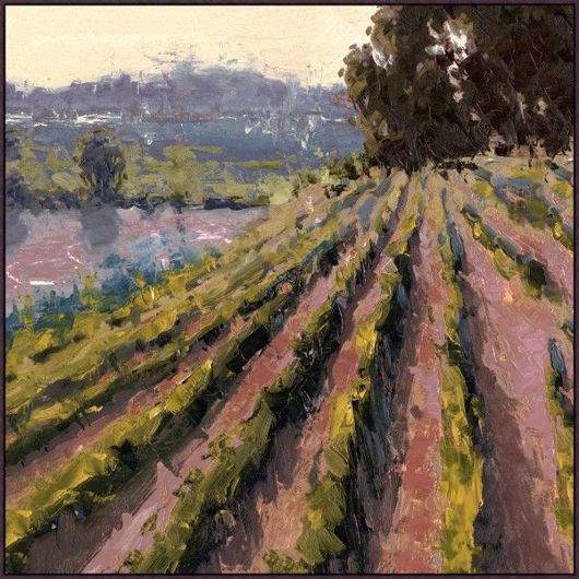 Picture of A TASTE OF WINE COUNTRY