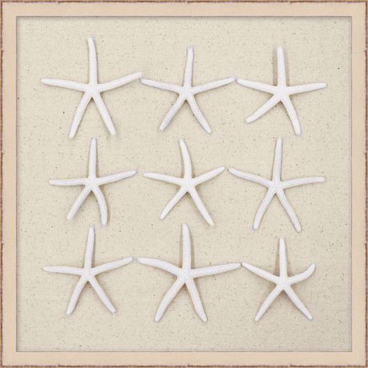 Picture of 9 STARFISH