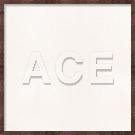 Picture of ACE