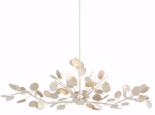 Picture of LUNARIA OVAL CHANDELIER
