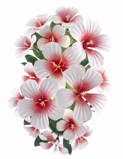 Picture of HIBISCUS WALL SCONCE