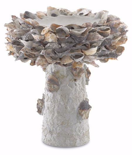 Picture of OYSTER SHELL SMALL BIRD BATH